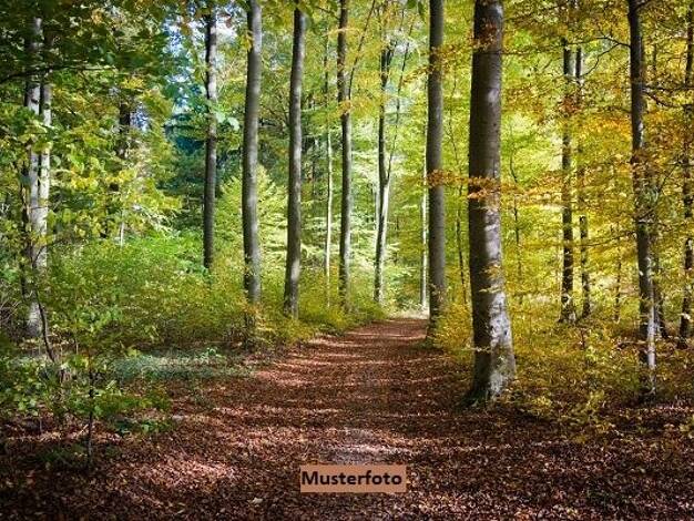 Land-/Forstwirtschaft zum Kauf 60.000 € 13.632 m² Grundstück Reichenberg Pfarrkirchen 84347