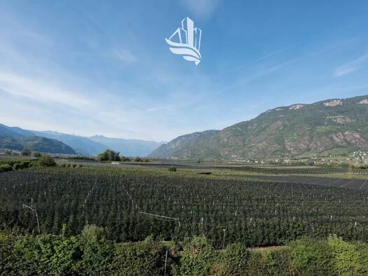 Studio zum Kauf 450.000 € 1 Zimmer 50 m² 2. Geschoss Andrian 39010