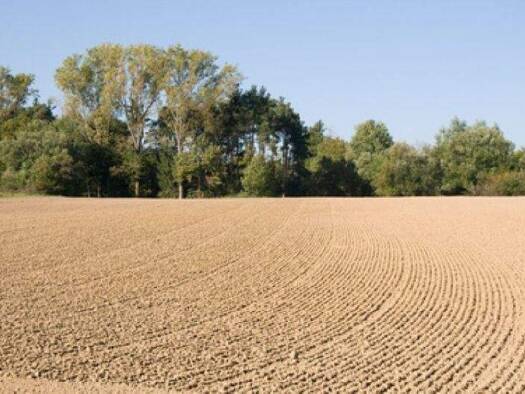 Landwirtschaftliche Fläche zum Kauf 2.500.000 € 250.000 m² Grundstück Regglisweiler Dietenheim 89165