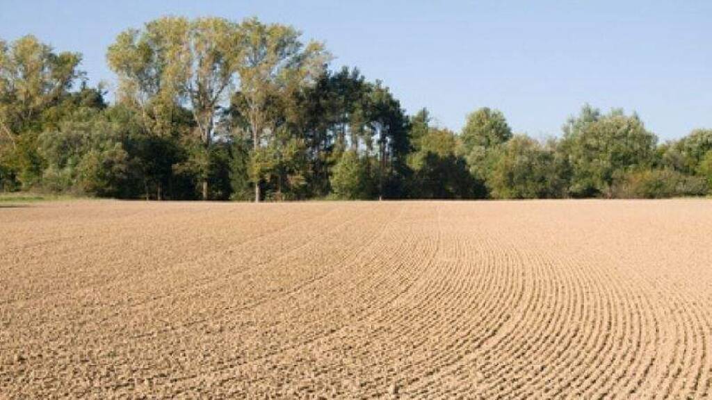 Landwirtschaftliche Fläche zum Kauf 2.500.000 € 250.000 m² Grundstück Regglisweiler Dietenheim 89165