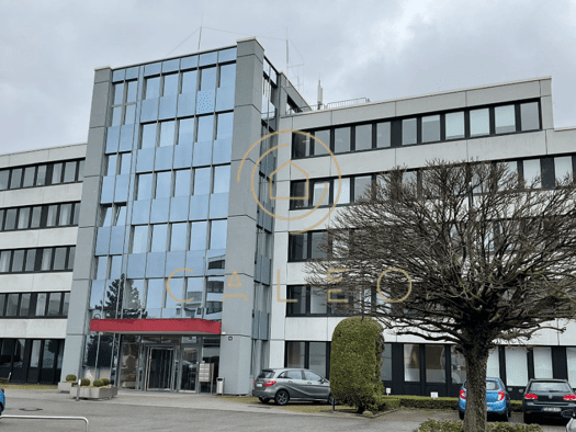Bürofläche zur Miete provisionsfrei 10,50 € 2.572,5 m² Bürofläche teilbar ab 120,1 m² Biebrich Wiesbaden 65203