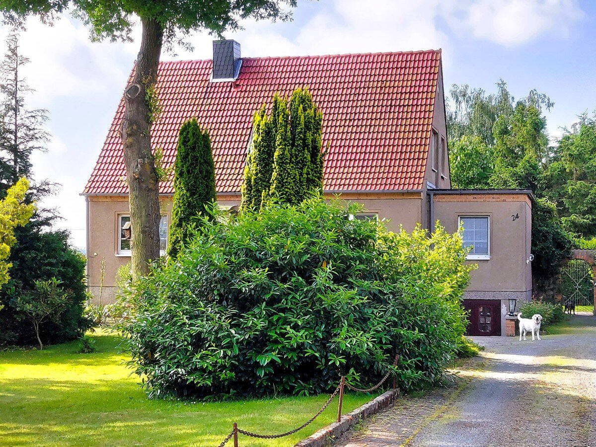 Einfamilienhaus zum Kauf 359.000 € 7 Zimmer 180 m²<br/>Wohnfläche 5.377 m²<br/>Grundstück Groß Kordshagen Groß Kordshagen 18442