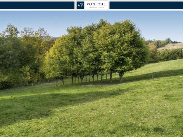 Grundstück zum Kauf 63.000 € 1.170 m² Grundstück Wiemeringhausen Olsberg / Wiemeringhausen 59939