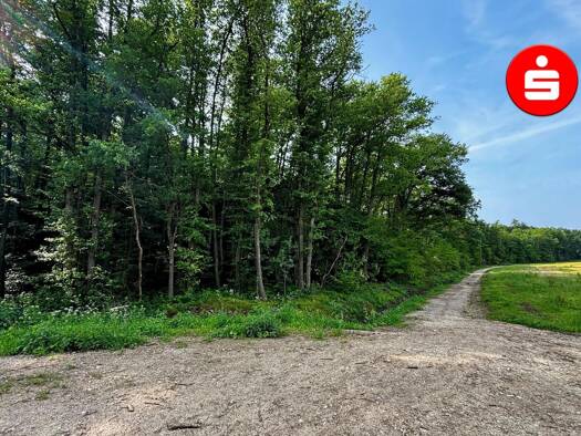 Land-/Forstwirtschaft zum Kauf 123.000 € 19.139 m² Grundstück Röthenbach Altdorf 90518