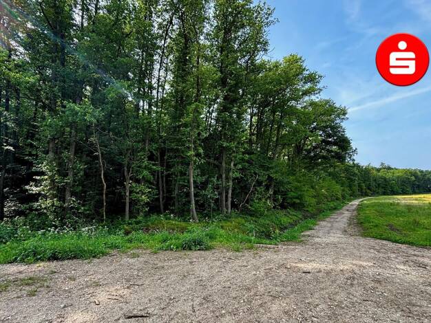 Land-/Forstwirtschaft zum Kauf 135.000 € 19.139 m² Grundstück Röthenbach Altdorf 90518