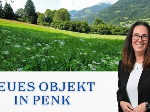 Grundstück zum Kauf 150.000 € 8.740 m² Grundstück Penk Penk 9816