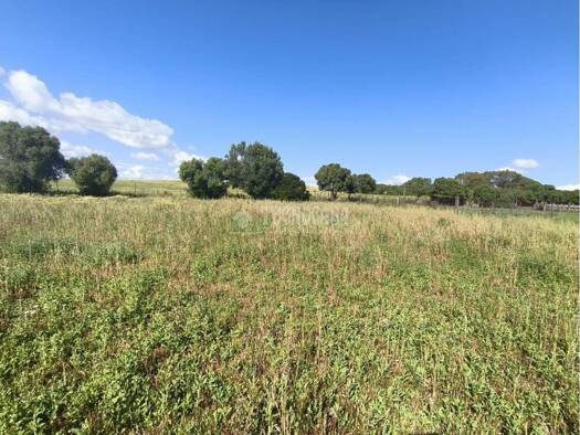 Bauernhaus zum Kauf 195.000 € 3 Zimmer 108 m² Barbate 11150