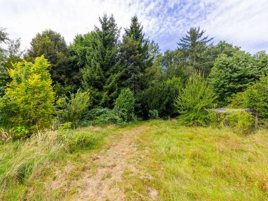 Grundstück zum Kauf 400.000 € 2.223 m² Grundstück Nord Petershagen/Eggersdorf 15345