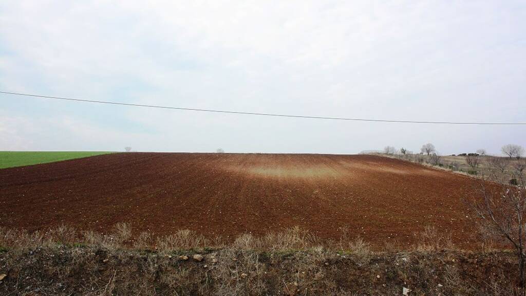 Land-/Forstwirtschaft zum Kauf 300.000 € 11.500 m² Grundstück Thessaloniki