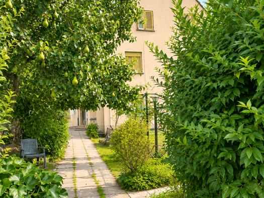Mehrfamilienhaus zum Kauf 690.000 € 12 Zimmer 290 m² 851 m² Grundstück Marbach Marbach am Neckar 71672