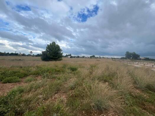 Acker-/Waldstück zum Kauf 499.000 € el Verger 03770