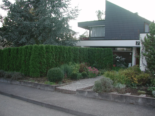 Einfamilienhaus zum Kauf provisionsfrei 900.000 € 7 Zimmer 280 m² 950 m² Grundstück frei ab sofort Malmsheim Renningen 71272