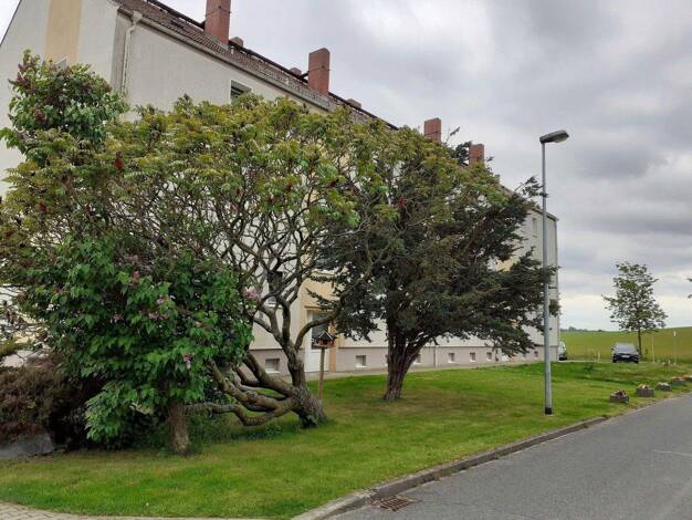 Wohnung zur Miete 660 € 6 Zimmer 120 m² EG Lüttewitz b Döbeln Döbeln 04720