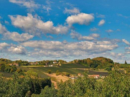 Einfamilienhaus zum Kauf 789.000 € 5 Zimmer 178 m² 6.977 m² Grundstück Kukmirn 7543