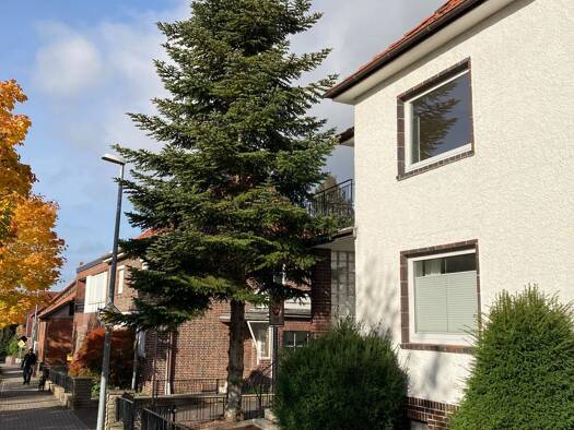 Mehrfamilienhaus zur Miete 1.800 € 6,5 Zimmer 200 m² frei ab 01.11.2026 Lauenau Lauenau 31867