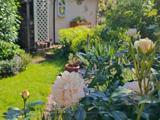 Bungalow zum Kauf 4 Zimmer 130 m² 672 m² Grundstück Bodenteich Bad Bodenteich / Bodenteich 29389