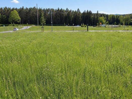 Grundstück zum Kauf 79.091 € 569 m² Grundstück Baugenehmigung vorhanden frei ab sofort Lavendelstr  5 Hammermühle Creußen 95473