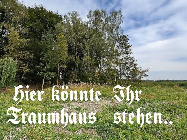 Grundstück zum Kauf provisionsfrei 335.000 € 5.696 m² Grundstück Hauptstr.103 Beckedorf 31699