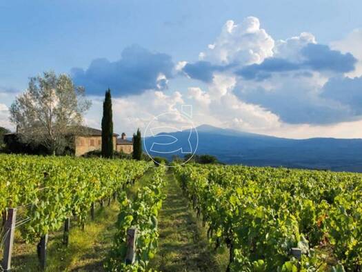 Bauernhaus zum Kauf 7.500.000 € 1.410 m² 130.000 m² Grundstück Montalcino