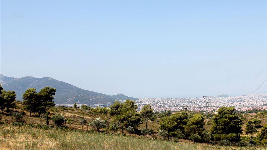 Land-/Forstwirtschaft zum Kauf 850.000 € 22.000 m² Grundstück Athen