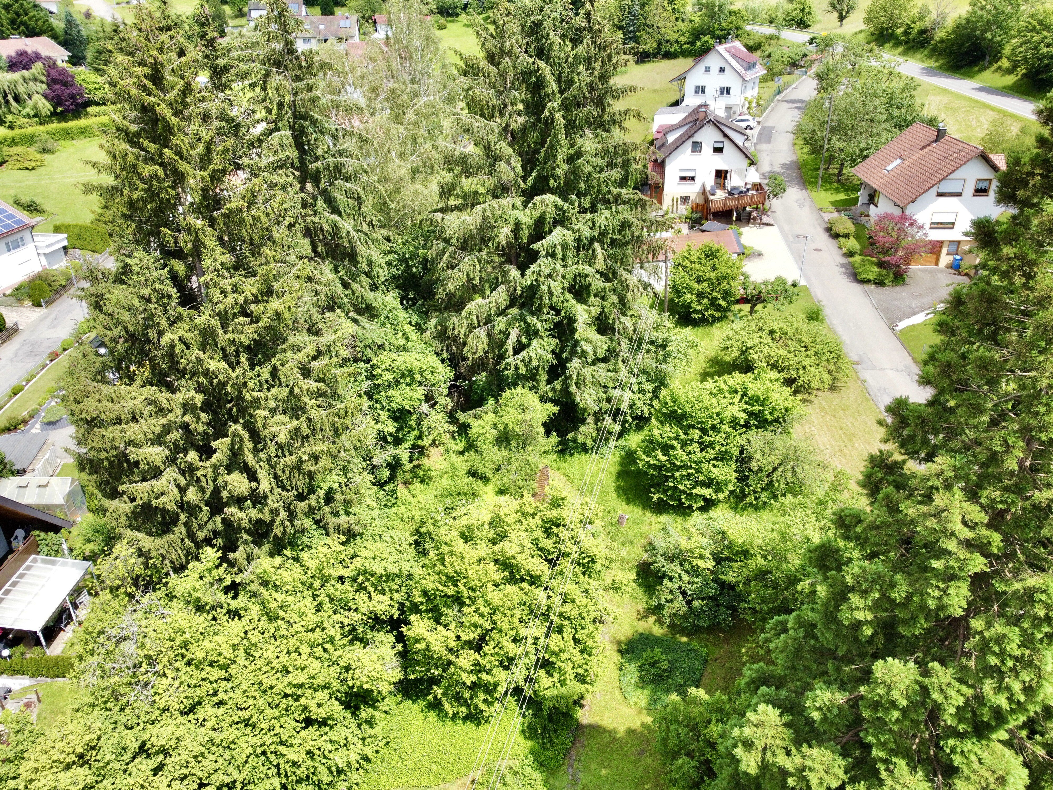 Grundstück zum Kauf 189.000 € 2.200 m²<br/>Grundstück Zillhausen Balingen-Zillhausen 72336