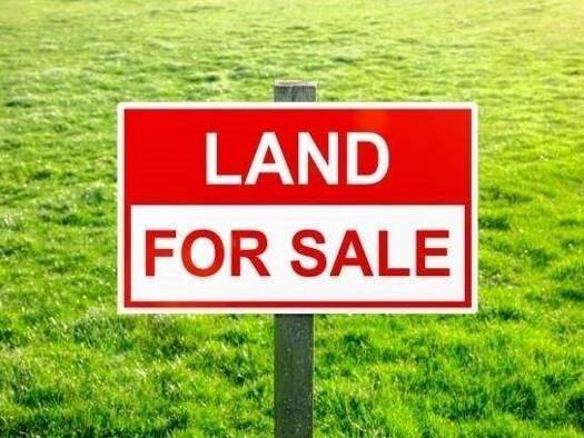 Land-/Forstwirtschaft zum Kauf 17.605 m² Grundstück Löbejün Wettin-Löbejün 06193