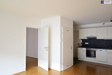 Wohnung zur Miete 521,75 € 2 Zimmer 49,7 m² 2. Geschoss Traungauergasse Gries Graz 8020