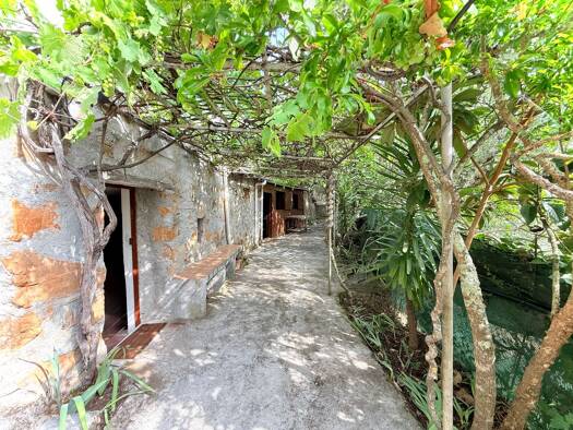 Haus zum Kauf 160.000 € 3 Zimmer 52 m² 4.400 m² Grundstück frei ab sofort Rocchetta Nervina 18030