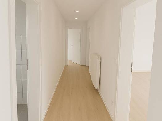 Wohnung zur Miete 520 € 2 Zimmer 52 m² 3. Geschoss frei ab sofort Schimmelsburg 35 Barmen Wuppertal 42277