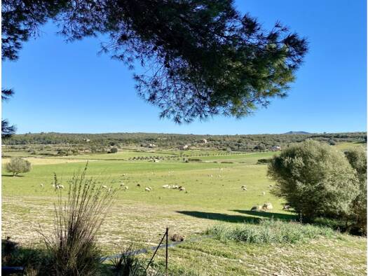 Grundstück zum Kauf 195.000 € 14.800 m² Grundstück Maria de la Salut 07519