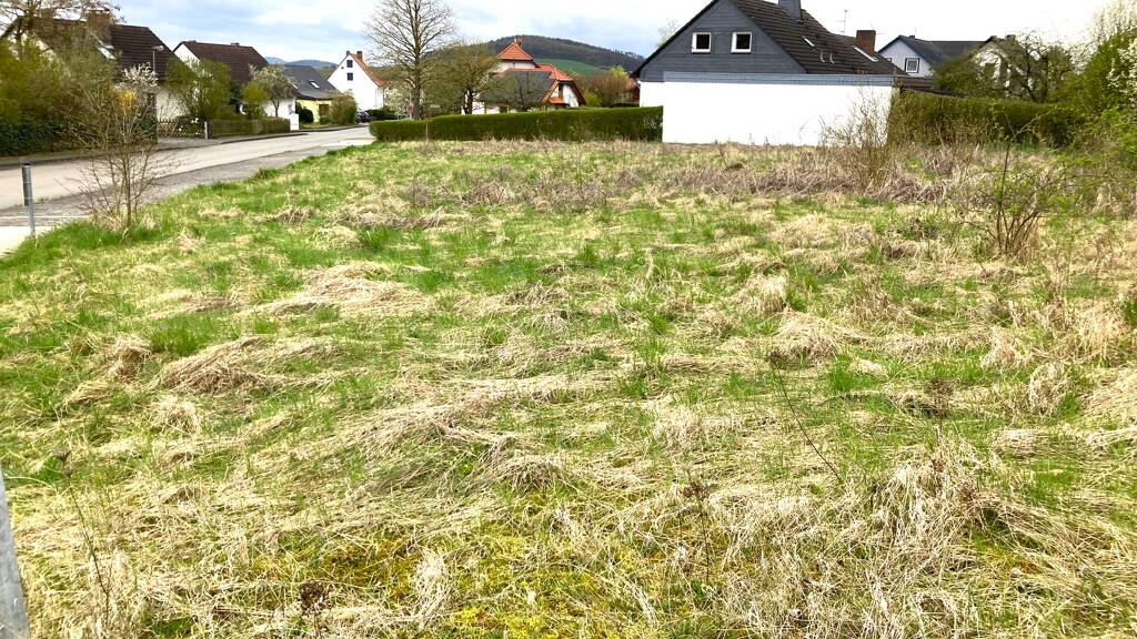 Grundstück zum Kauf 95.400 € 950 m² Grundstück Zierenberg 34289