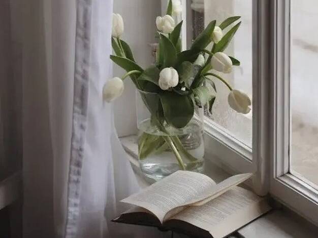 Einfamilienhaus zum Kauf 731.900 € 5 Zimmer 136,7 m² 379 m² Grundstück Osdorf Hamburg 22549