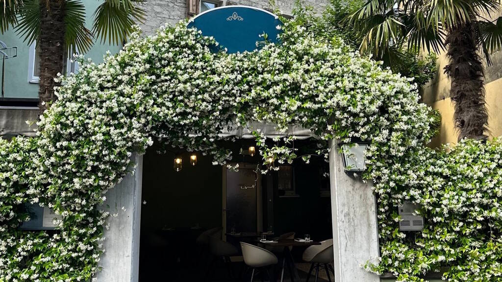 Gastronomie/Hotel zum Kauf 45 m² Gastrofläche 50 m² Grundstück Riva del Garda