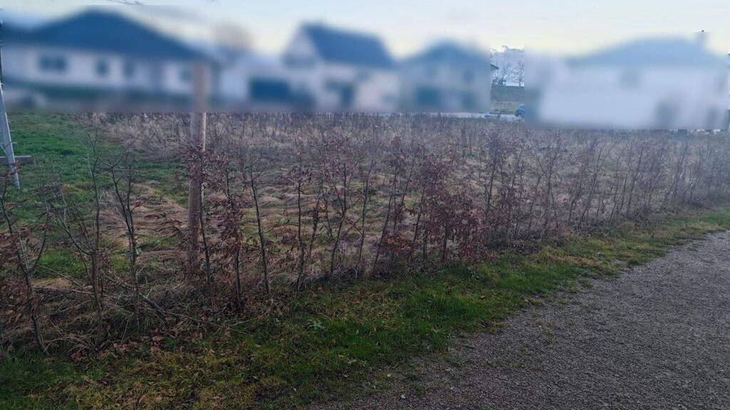 Grundstück zum Kauf 58.500 € 650 m² Grundstück Speicher 54662