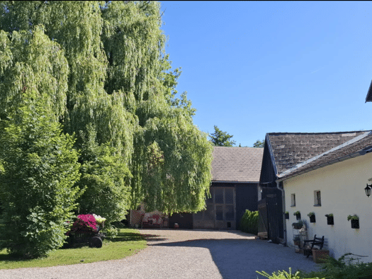 Grundstück zum Kauf 740.000 € 1.800 m² Grundstück Gaaden 2531