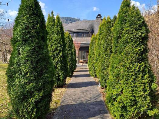 Haus zum Kauf 458.000 € 10 Zimmer 150 m² 2.476 m² Grundstück St. Gallen 8933