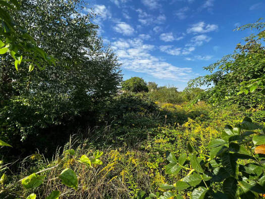 Grundstück zum Kauf 329.000 € 1.904 m² Grundstück Eisenberger Straße 9 Diemitz Halle (Saale)-Diemitz 06116