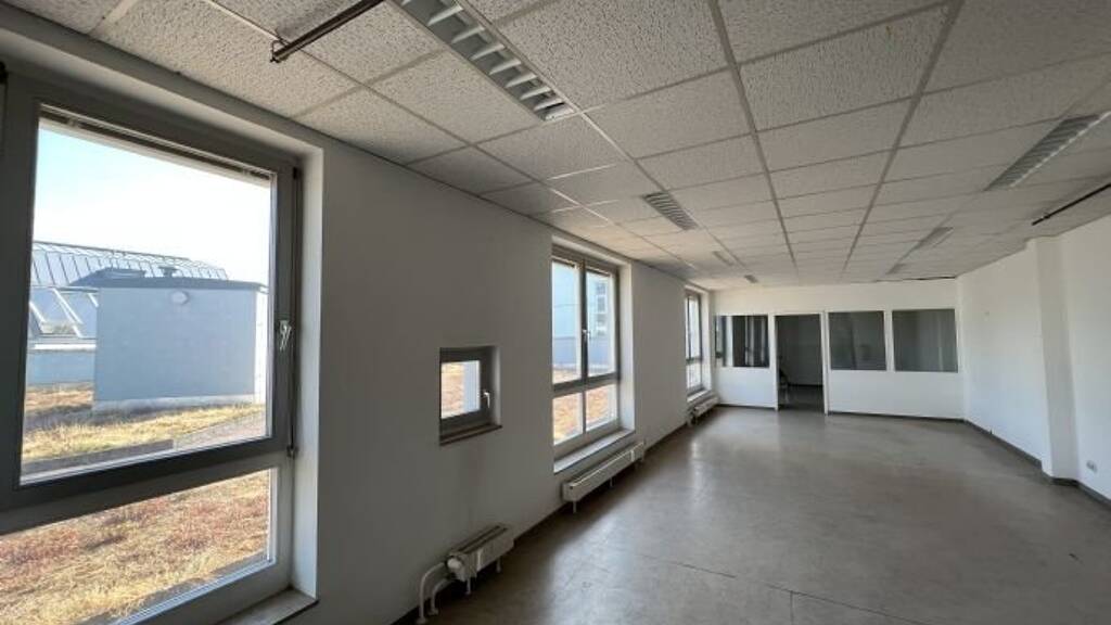 Bürofläche zur Miete provisionsfrei 331 m² Bürofläche Zweibrücken 66482