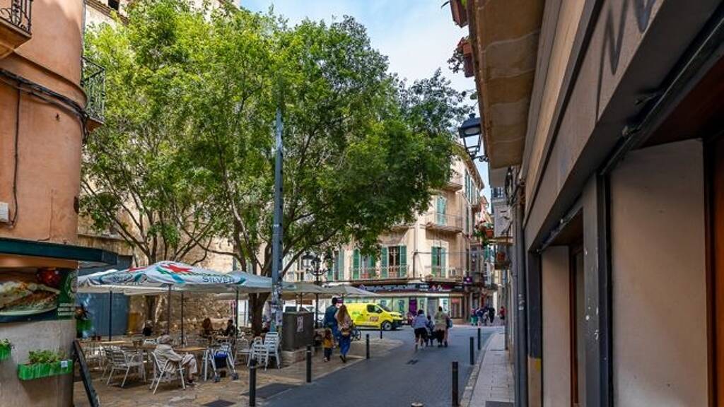 Wohnung zum Kauf provisionsfrei 370.000 € 3 Zimmer 70 m² Palma De Mallorca 07001