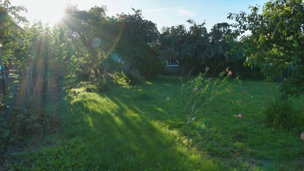 Grundstück zum Kauf provisionsfrei 95.000 € 591 m² Grundstück Gartenweg Ribnitz Ribnitz-Damgarten 18311