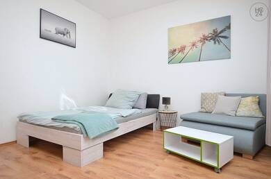 WG-Zimmer zur Miete Wohnen auf Zeit 565 € 16 m² 1. Geschoss frei ab 01.06.2025 Altstadt / St. Lorenz Nürnberg 90402