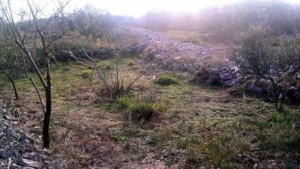 Land-/Forstwirtschaft zum Kauf 250.000 € Krk