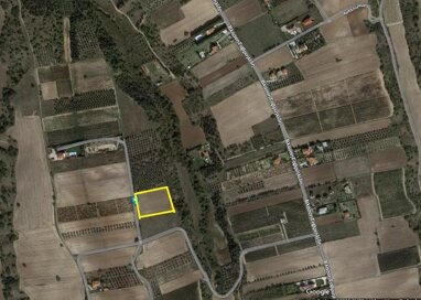 Land-/Forstwirtschaft zum Kauf 75.000 € 5.776 m² Grundstück Thessaloniki