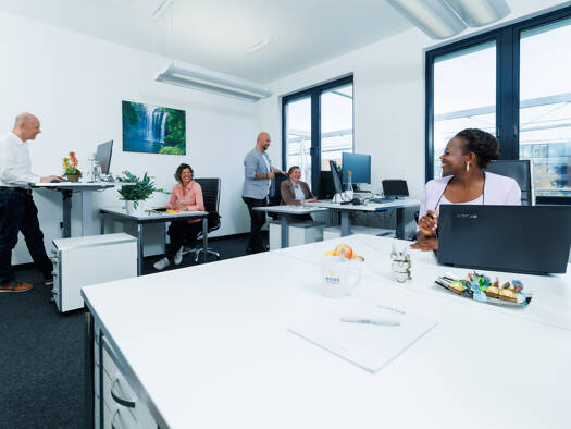 Bürokomplex zur Miete provisionsfrei 2.391 m² Bürofläche teilbar von 14 m² bis 76 m² Landsberger Straße 155/Haus 1 Pasing-Obermenzing München 80687