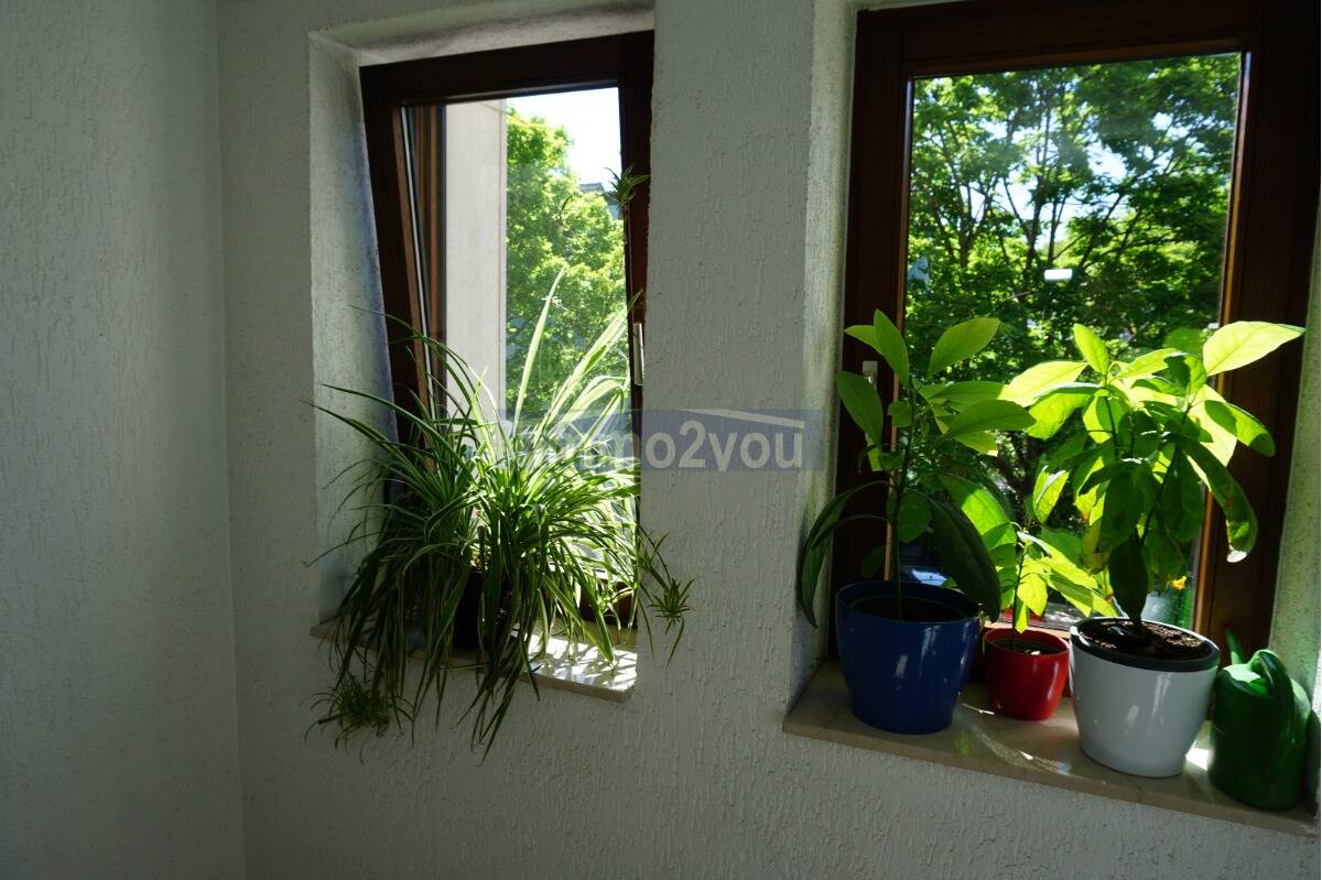 Property thumbnail 17