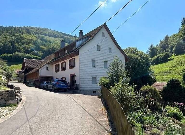 Haus zum Kauf provisionsfrei 380.000 € 11 Zimmer 227 m²<br/>Wohnfläche 24.701 m²<br/>Grundstück Elbenschwand Kleines Wiesental 79692