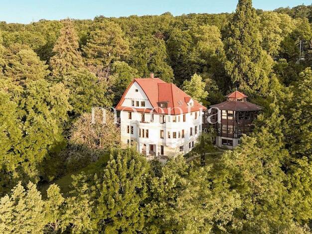 Villa zum Kauf 17 Zimmer 734 m² 6.315 m² Grundstück Süd Stuttgart 70180