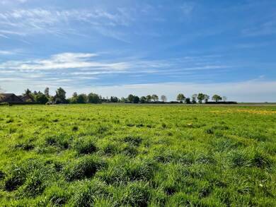 Grundstück zum Kauf provisionsfrei 102.355 € 761 m² Grundstück Wiedensahl 31719