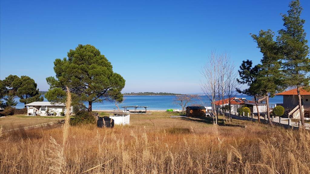 Land-/Forstwirtschaft zum Kauf 2.800.000 € 6.300 m² Grundstück Chalkidiki