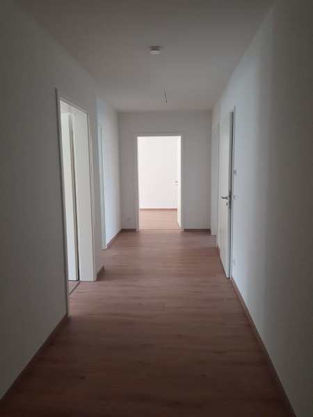 Wohnung zur Miete 700 € 3 Zimmer 110 m²<br/>Wohnfläche ab sofort<br/>Verfügbarkeit Gaffelschonerweg Stadtmitte Rostock 18055